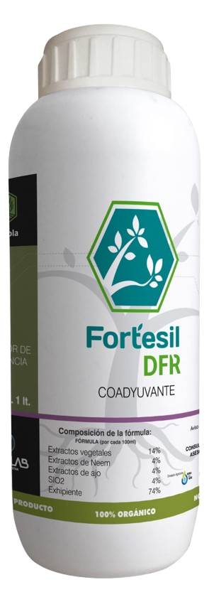 FT Fortesil DFR